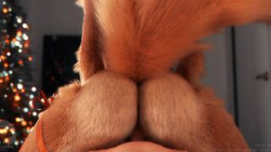 Fox Christmas?Furromantic? - ﻿3D animation on Crohasit